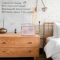 Wenpzeray D-216 Portable AM/FM Shortwave Radio Bluetooth Speaker — image 4