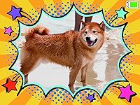 VTech KidiZoom PrintCam — image 20