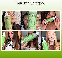 Maple Holistics Tea Tree Oil Shampoo 25 Fl Oz — image 2