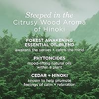 TATCHA Forest Awakening Hinoki Body Milk 4.5oz — image 4