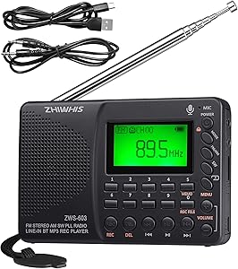 ZHIWHIS ZWS-603 Portable Bluetooth Radio Review