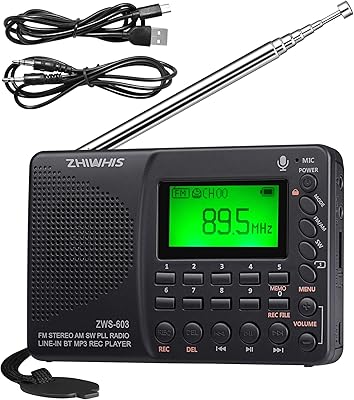 ZHIWHIS ZWS-603 Portable Bluetooth Radio