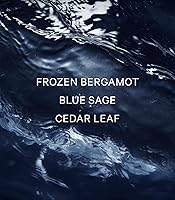 Victoria's Secret VS Him Deepwater Men's Cologne 3.4 oz — image 4