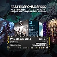 fanxiang S501 256GB NVMe SSD — image 4