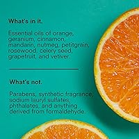 Public Goods Body Wash for Men and Women 34 Fl Oz Refill — image 3