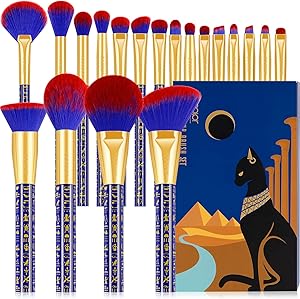 Docolor 19-Piece Ancient Egyptian Makeup Brush Set Review