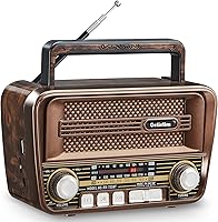 Gelielim RX-733BT Portable Radio — image 1