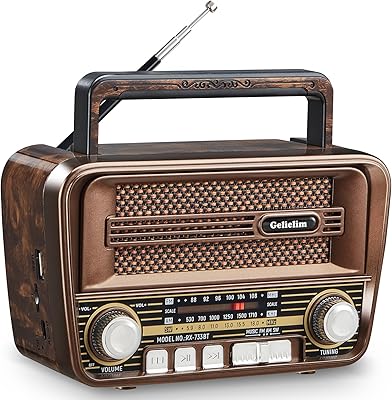 Gelielim RX-733BT Portable Radio