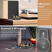 Douk Audio X1 HiFi Stereo Bluetooth 5.0 Vacuum Tube Amplifier — image 2