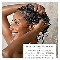 Zents Balancing Shampoo 10 fl oz — image 6