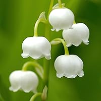 Paul Sebastian Casual Women's Eau de Parfum, 4oz — image 4