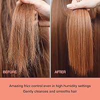 Ginger Lily Farms FrizzFreeze Pro Anti-Frizz Conditioner 1 Gallon — image 4