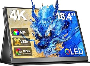 Newsoul 18.4-inch 4K QLED Portable Monitor Review