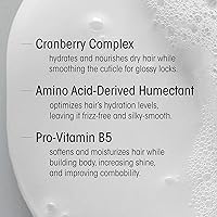 ORIBE Supershine Hydrating Shampoo 8.5oz — image 4