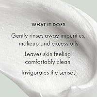 Origins Checks and Balances Frothy Face Wash 8.27oz — image 4