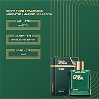 Wild Stone Chief Perfume for Men 100ml — image 4