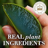 Herbal Essences Bio: Renew Potent Aloe + Mango Conditioner 5.523 Fl Oz — image 10