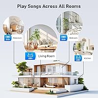 Arylic S10+ AirPlay Audio Receiver — image 4