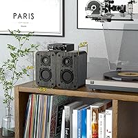 RIOWOIS DS6500M Passive Bookshelf Speakers — image 8