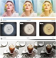 BEIYANG Softbox Lighting Kit 2x20″x28″ — image 2