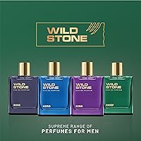 Wild Stone Chief Perfume for Men 100ml — image 8