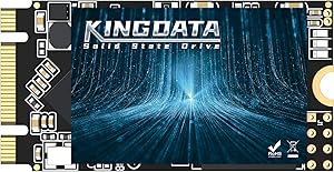Kingdata M.2 2242 1TB SSD Review