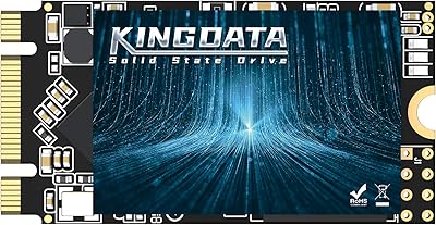 Kingdata M.2 2242 1TB SSD
