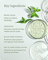 Divi Dry Shampoo Spray 5.3oz — image 4