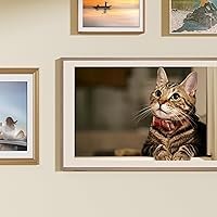 Hisense 55-Inch QLED 4K S7N CanvasTV — image 19