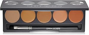 Cinema Secrets Pro Cosmetics Ultimate Corrector 5-In-1 Pro Palette No.1