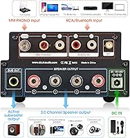 Douk Audio X1 HiFi Stereo Bluetooth 5.0 Vacuum Tube Amplifier — image 8