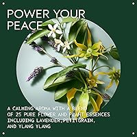 Aveda Shampowder Dry Shampoo Powder 2oz — image 3