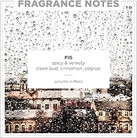 Zents Eau de Parfum Fig 1.69oz — image 2