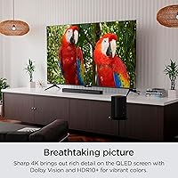 Roku Plus Series 65-Inch 4K QLED Smart TV — image 4