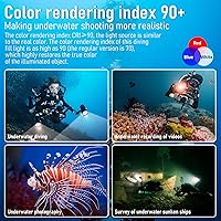 LeTonPower B24 Dive Light — image 3