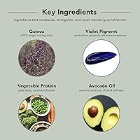 Framesi Color Lover Dynamic Blonde Conditioner, 10oz — image 7