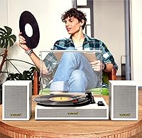 TANLANIN TE-2028WT Turntable — image 4