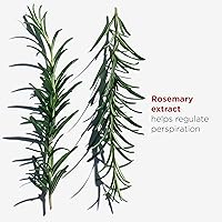 Clarins Roll-On Antiperspirant Deodorant 1.7oz — image 3