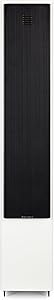 MartinLogan Motion 40 Floorstanding Loudspeaker