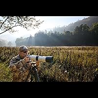 Canon RF200-800mm F6.3-9 IS USM Super-Telephoto Zoom Lens — image 5