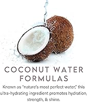 Aluram Coconut Water Moisturizing Conditioner 1oz — image 4