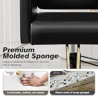 Baasha Black and Gold Salon Chair — image 5