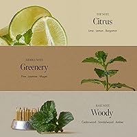 ANILLO Vegan Nourishing Scalp Shampoo 450ml — image 4