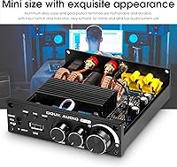 Douk Audio M1 PRO Bluetooth Power Amplifier — image 5