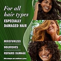 Herbal Essences Argan Oil Repair Shampoo & Conditioner Set, 20.2 Fl Oz, 2-Pack — image 2