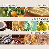 L'ANZA Healing Curls Butter Conditioner 8oz — image 7