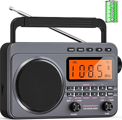 Sunoony BX-A22G Portable Radio with NOAA Alert