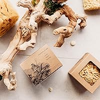 Baudelaire Sea Wool Sponge 5.5″ — image 7