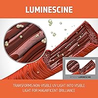 Goldwell Dualsenses Color Revive Color Conditioner 7.1oz — image 3