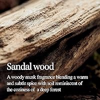 LONGTAKE Sandalwood Intensive Hair Perfume Treatment 6.76oz — image 5